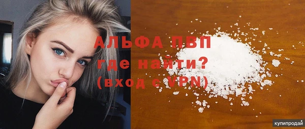 дживик Козельск